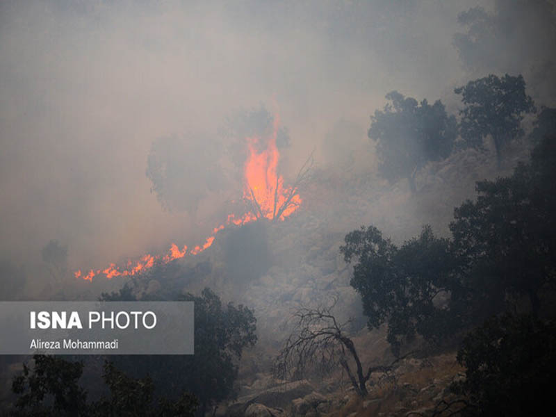 آمار آتش‌سوزی‌های جنگل‌های ایران 