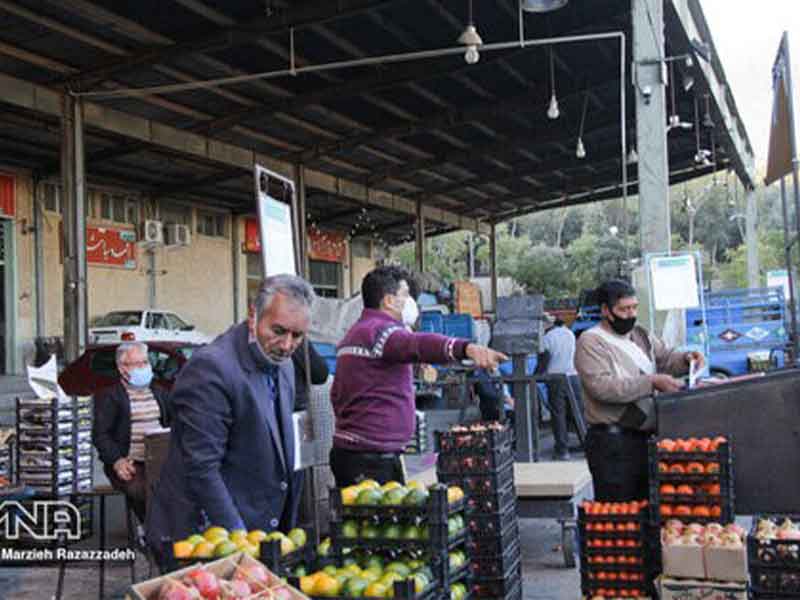 راه اندازی بازارچه میوه جدید در نوشهر